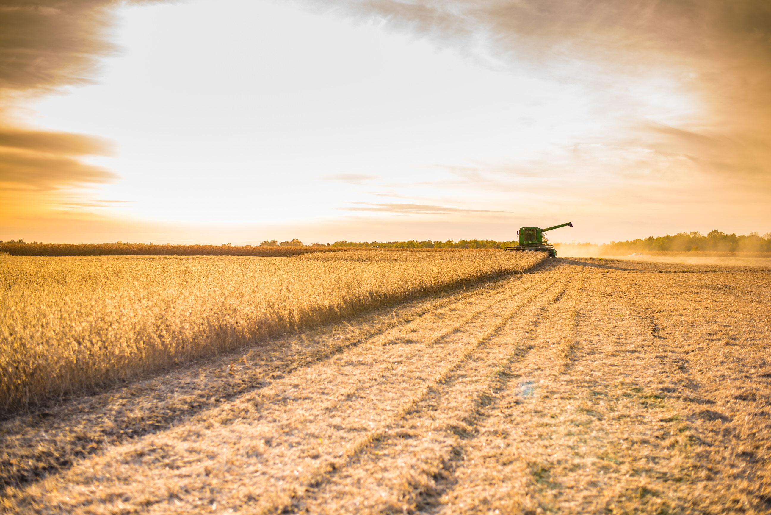 Golden field during harvest with a combine harvester in the distance under a vibrant sunset sky.