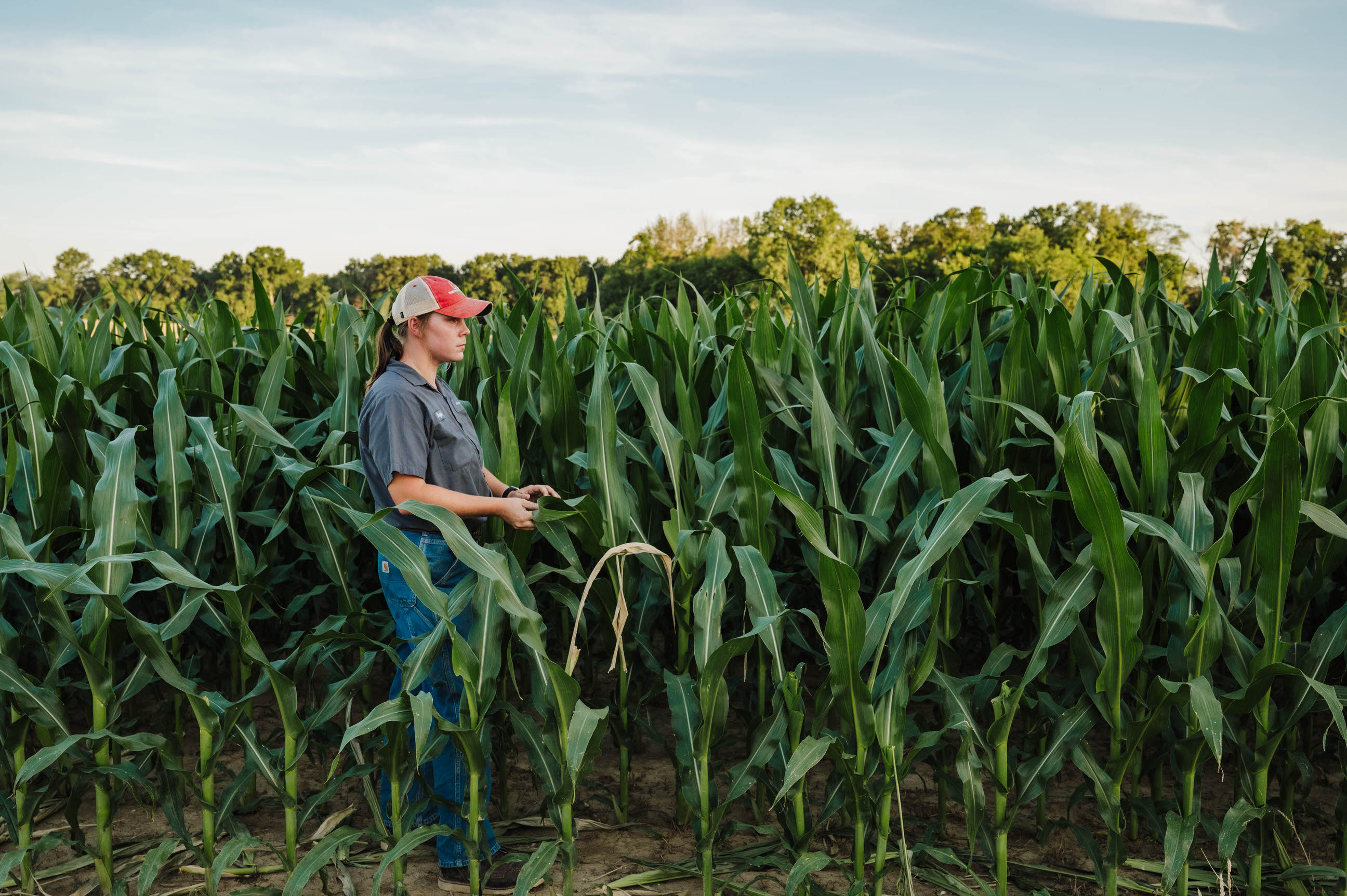 Female Farmer In Cornfield